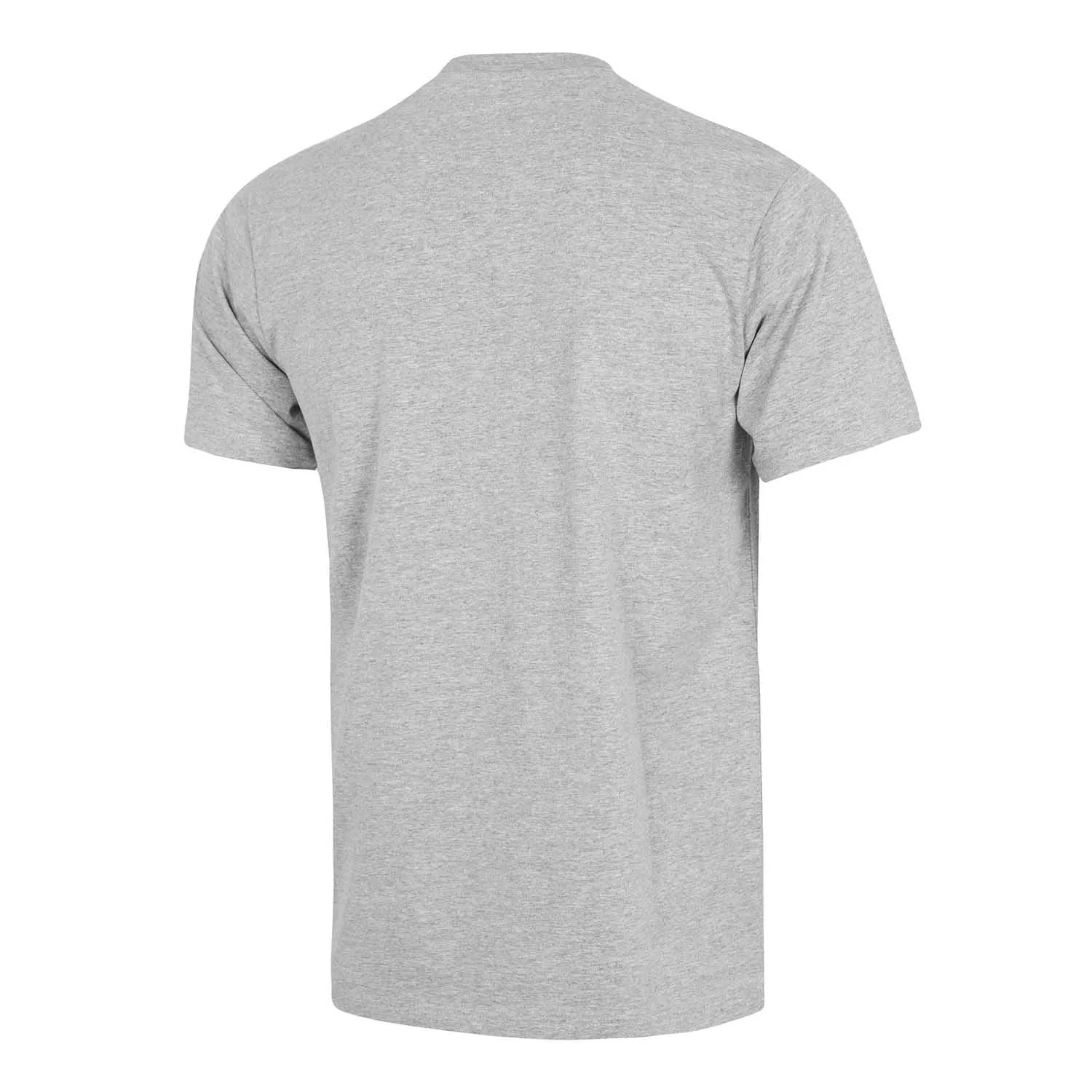 Camiseta Gris Claro Hombre Escudo Color Essentials