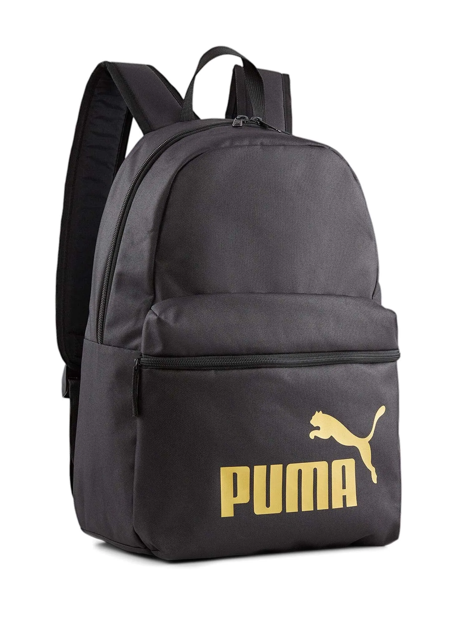 Puma Zaini 079943